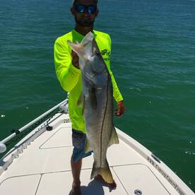 Clearwater Report Photo 1