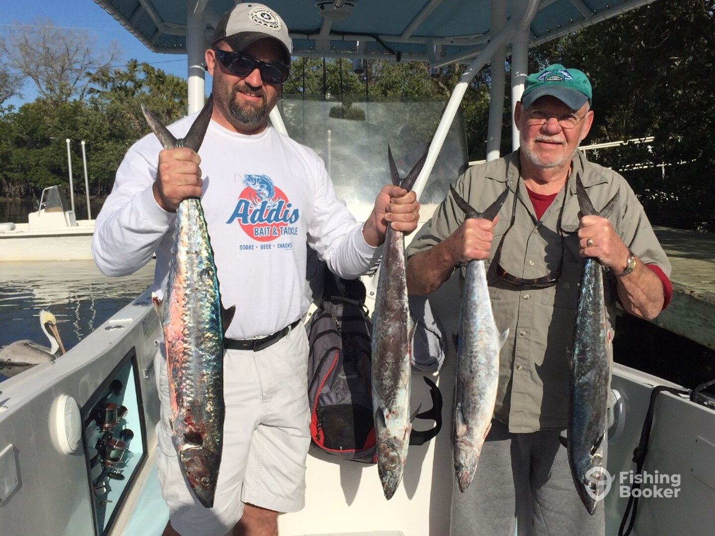 New Smyrna Beach Report Photo 0