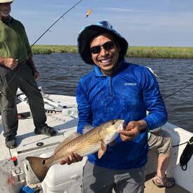 St. Bernard Report Photo 2