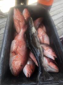 Another beautiful day!