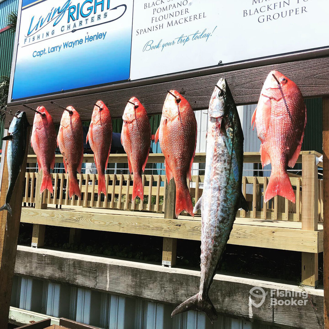 Destin Report Photo 0