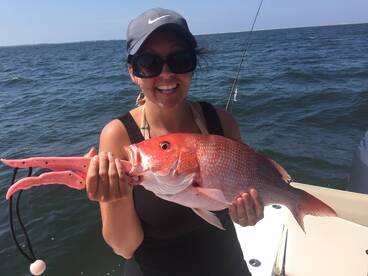 Blue Angels, Snapper & Family Fun