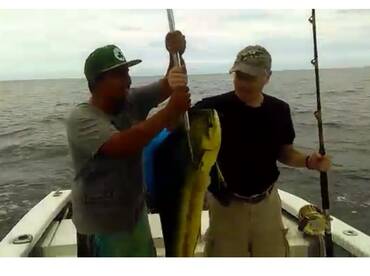 Howard Kesten Mahi Mahi