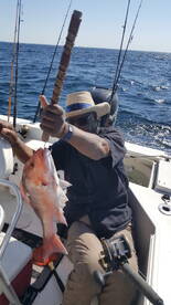 Destin Report Photo 2