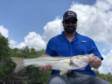 Snook fishing the glades!