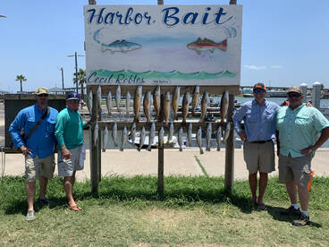 Aransas Pass Report Photo 1