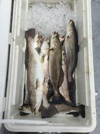 Aransas Pass Report Photo 2