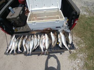 Texas City Report Photo 2
