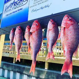 Destin Report Photo 2