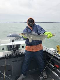 Lakeside Marblehead Report Photo 2