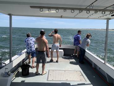 Virginia Beach Report Photo 1