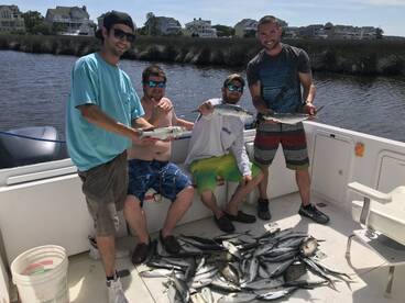 The Spanish Mackerel and Blue Fish are h