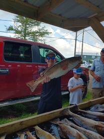 St. Bernard Report Photo 2