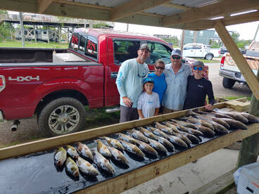 St. Bernard Report Photo 1