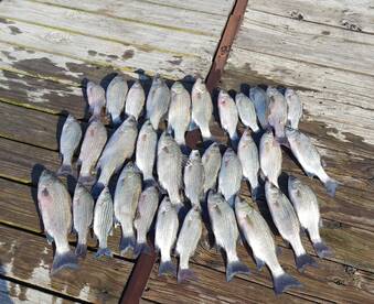 West Tawakoni Report Photo 1
