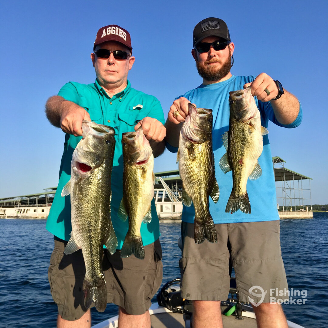 Lago Vista Report Photo 0
