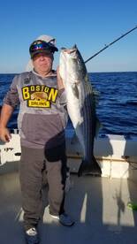 Boston Report Photo 1