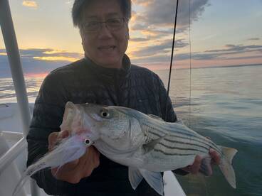 Get Tight Fishing Report Boston & Cape C