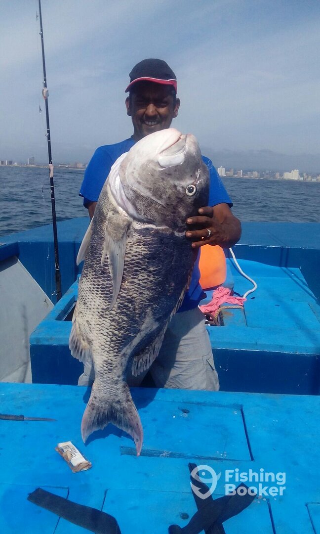 Durban Report Photo 0