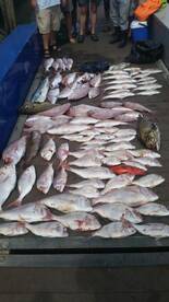 Durban Report Photo 1