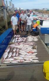 Durban Report Photo 2