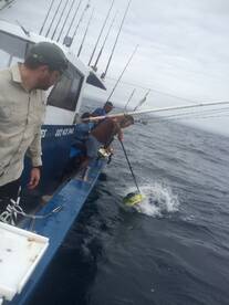 Durban Report Photo 2