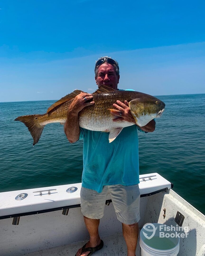 Virginia Beach Report Photo 0