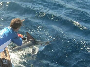 Sydney Report Photo 1