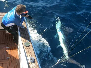 Sydney Report Photo 2