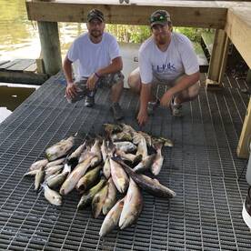Wednesday Shell Beach Meat Haul