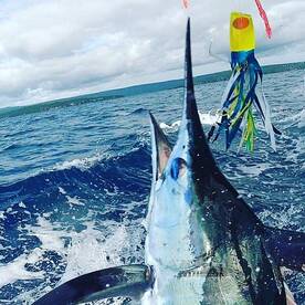 Incredible Marlin Action in Vanuatu!