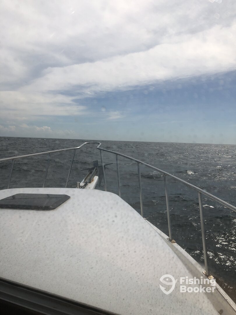 Orange Beach Report Photo 0