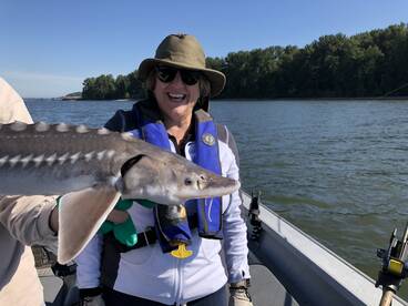 Sturgeon frenzy 