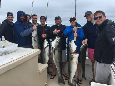 Montauk Report Photo 1