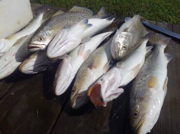 Good ...When we can go.