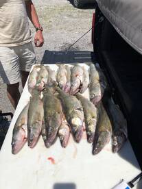 Lakeside Marblehead Report Photo 1