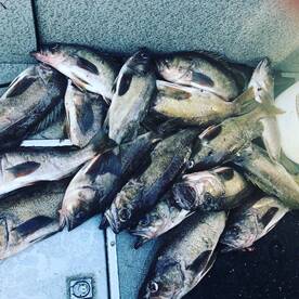 June 24-30th e have some awesome ocean w