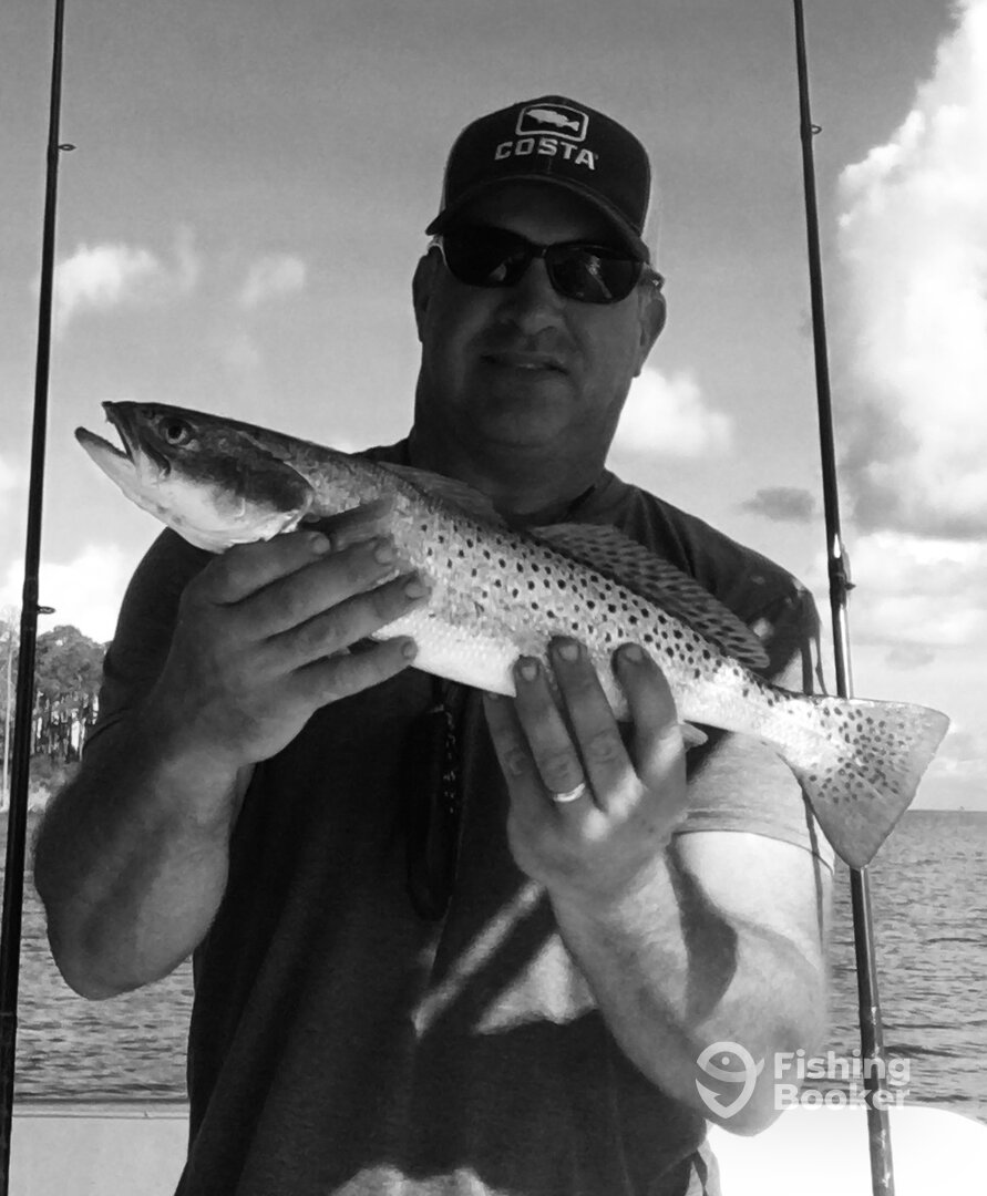 Fairhope Report Photo 0