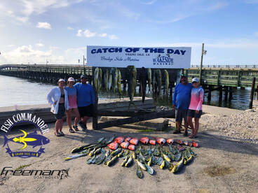 Grand Isle Report Photo 2