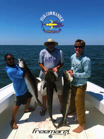 Grand Isle Report Photo 1