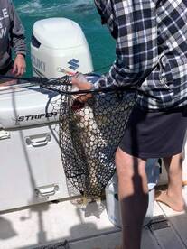 Conneaut Report Photo 1