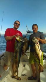 Mahi With Paciencia y La Buena Suerte