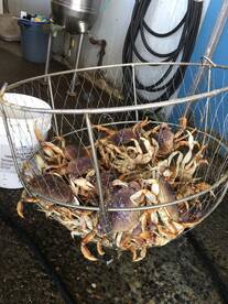 Coos Bay Report Photo 2