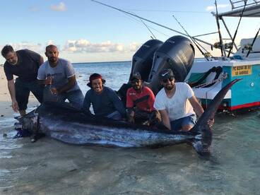 A marlin620lbs in winter 