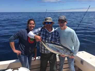 Yellowfin Tuna