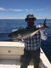 Yellowfin Tuna