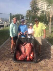 Orange Beach Report Photo 2