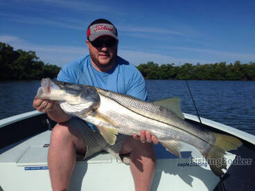 Naples Report Photo 2