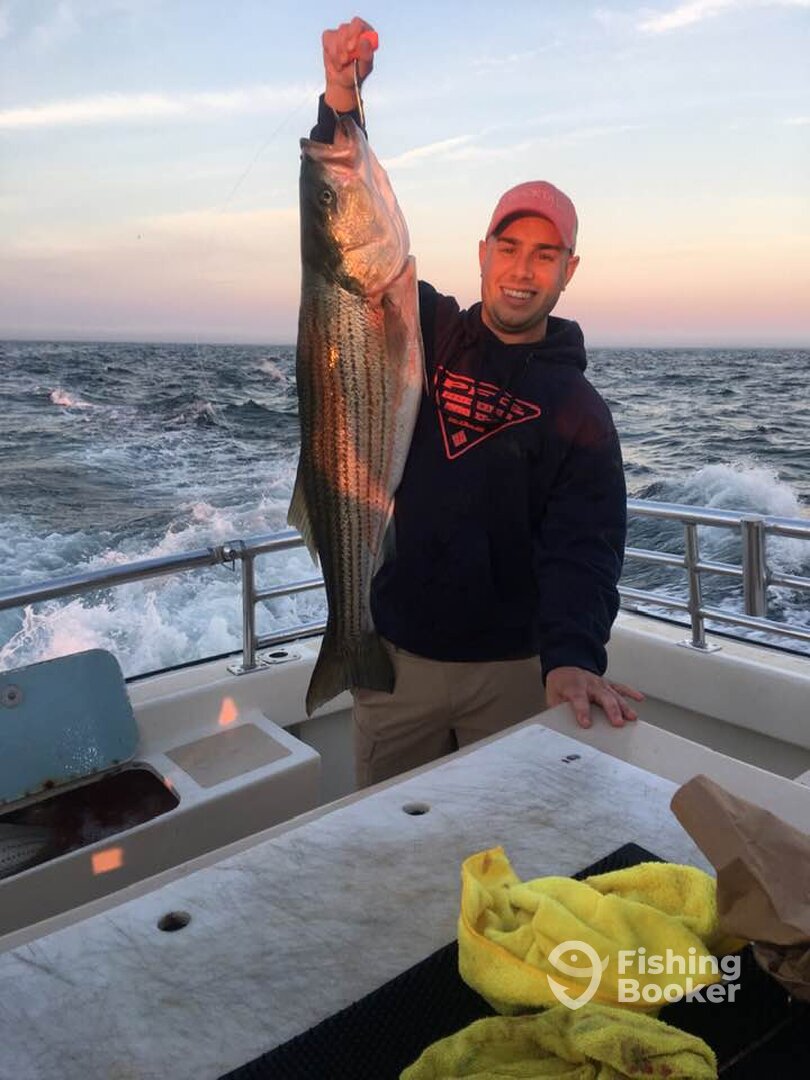 Montauk Report Photo 0