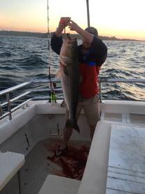 Montauk Report Photo 1